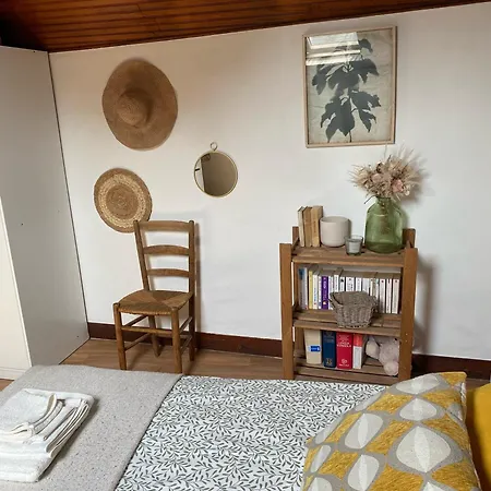 La Maison Des Teinturiers Maison De Avec Jardin Nyaraló