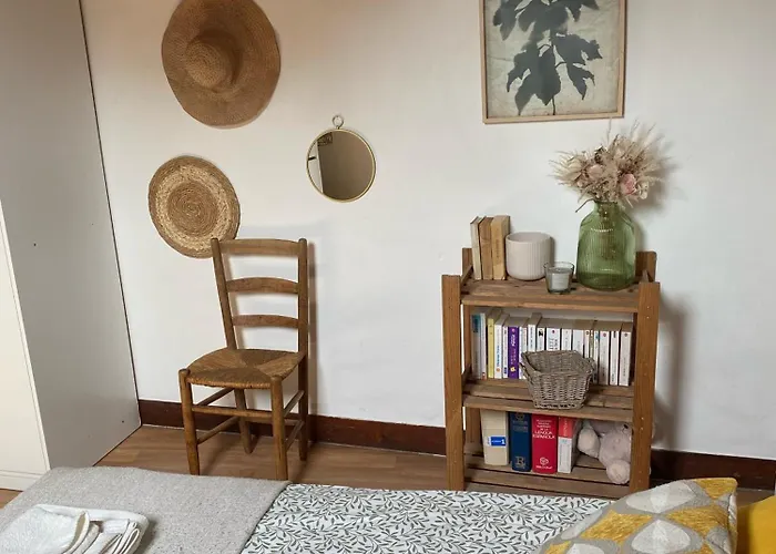 La Maison Des Teinturiers Maison De Avec Jardin Vakantiehuis