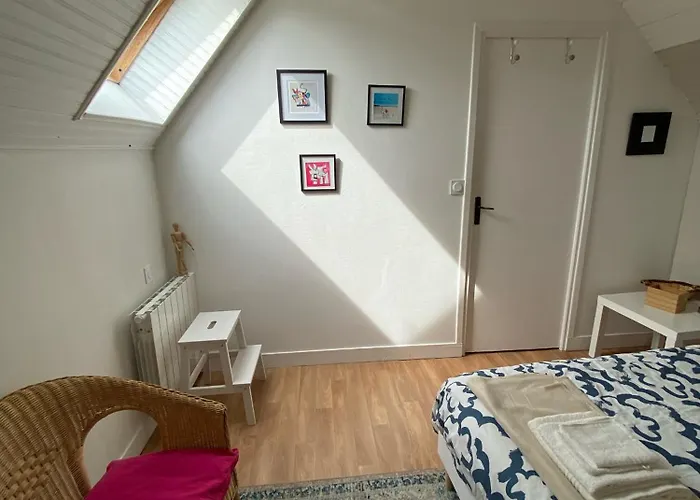 Vakantiehuis La Maison Des Teinturiers Maison De Avec Jardin