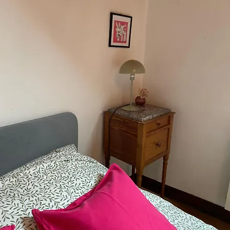 La Maison Des Teinturiers Maison De Avec Jardin *