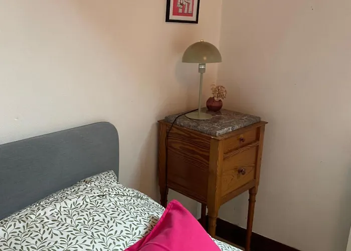 La Maison Des Teinturiers Maison De Avec Jardin *